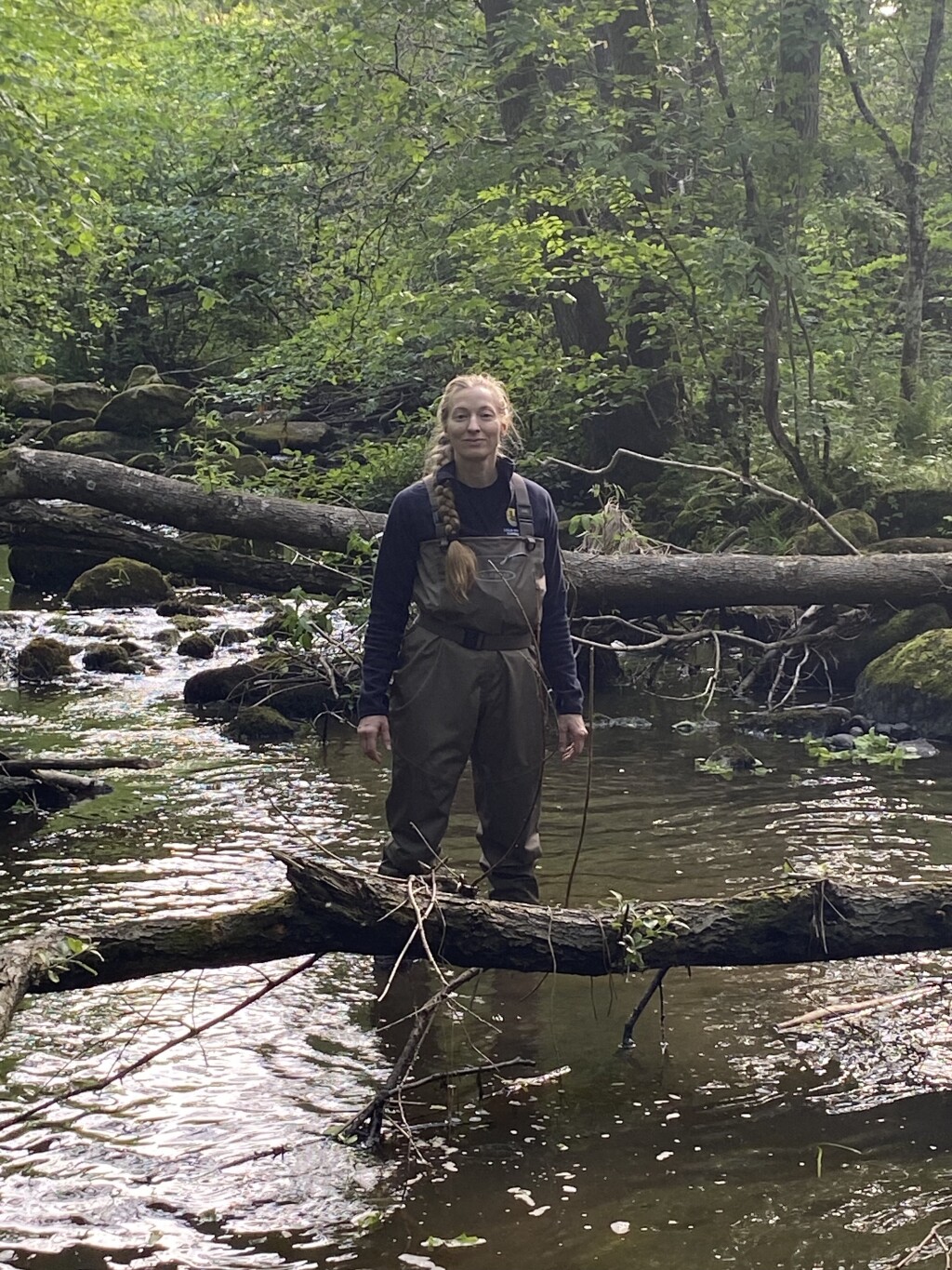 Stream restoration and ecological fieldwork in a forested river section.