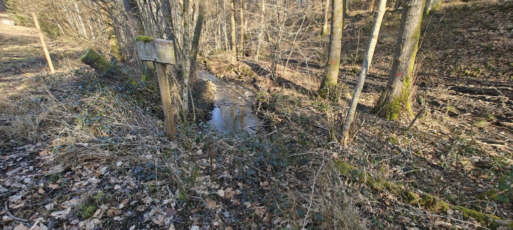 Restored headwater stream section with natural flow conditions.