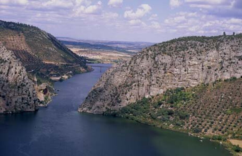 River gorge and freshwater habitat corridor.