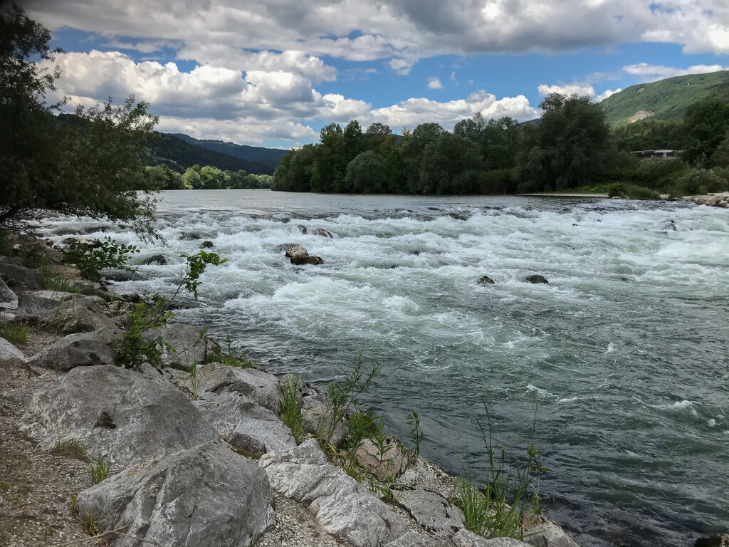 the river Sava.