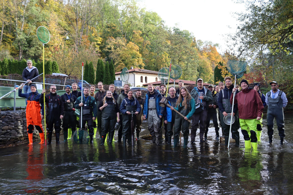 A group of participants is standing in the river.