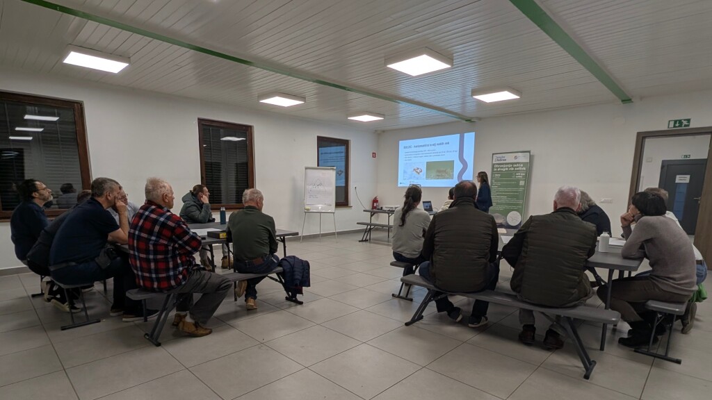 Stakeholder workshop in Ljubljana, Slovenia, with participants discussing river restoration and conservation.