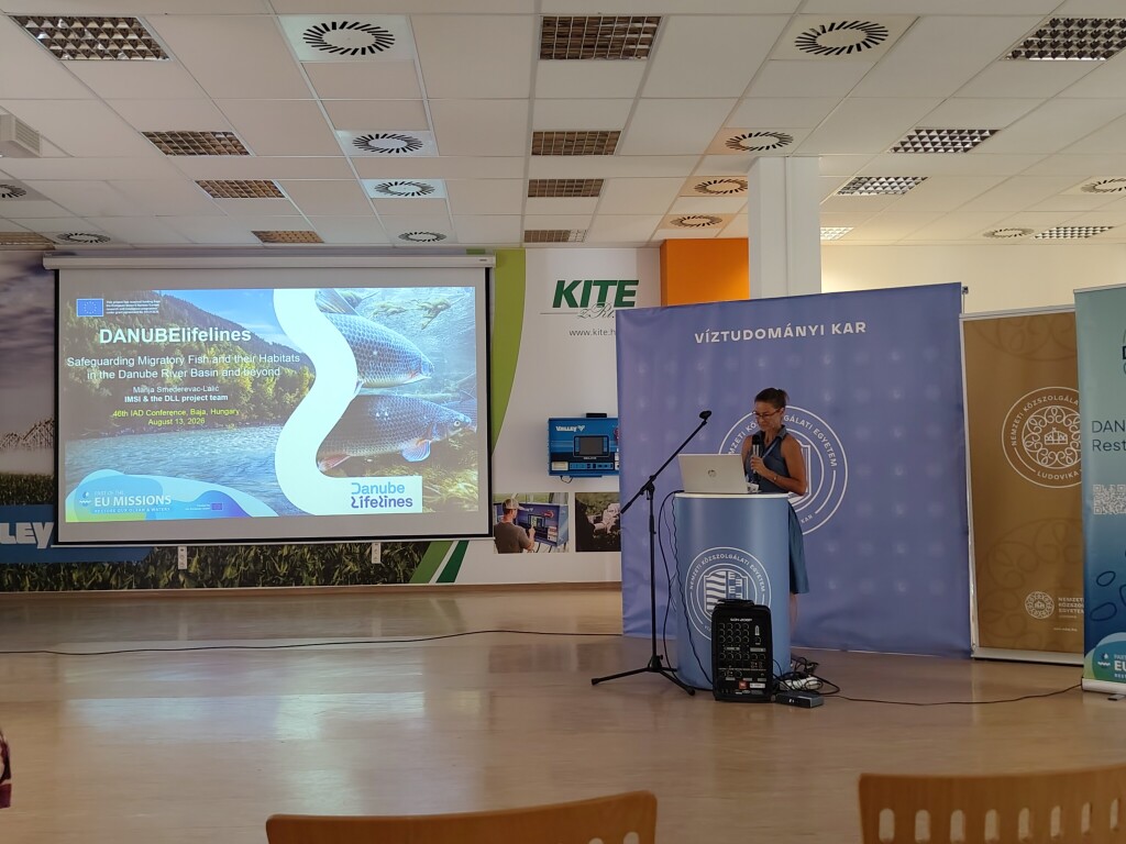 DANUBElifelines presentation on safeguarding migratory fish and their habitats at the IAD Conference 2026 in Baja.