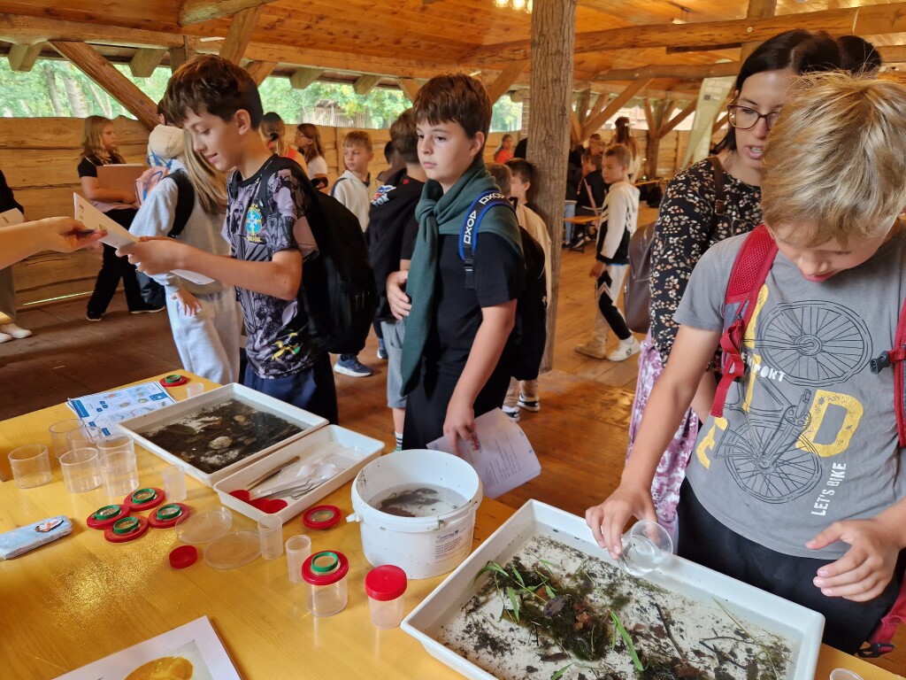 Schoolchildren explore aquatic habitats using sample trays and observation containers.