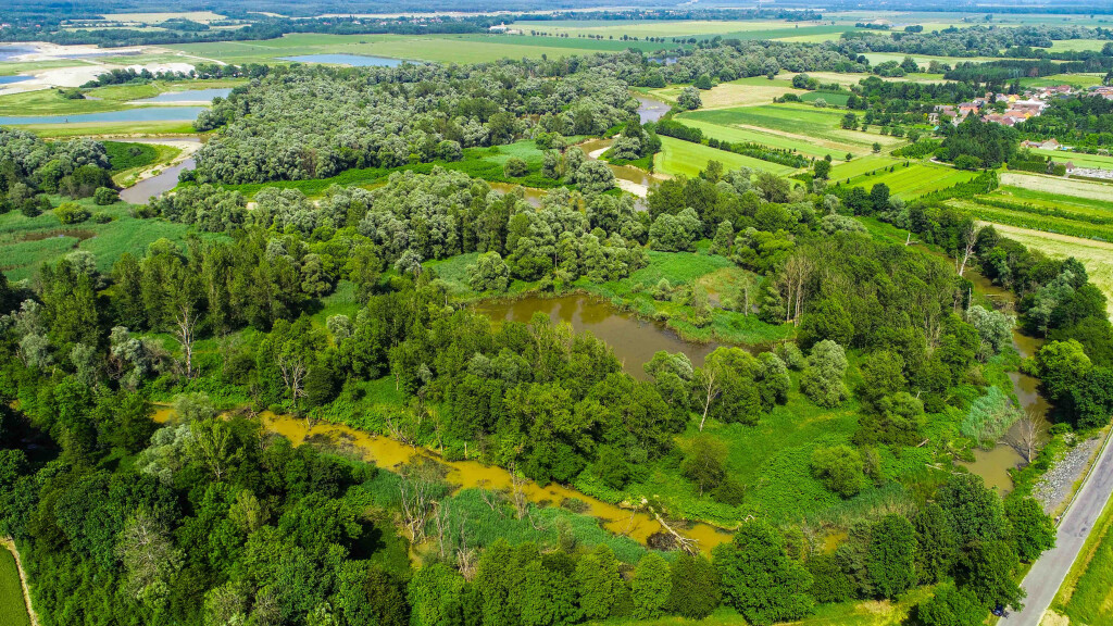 Rabivere Raba DANUBElifelines – Reviving an oxbow on the Rába River