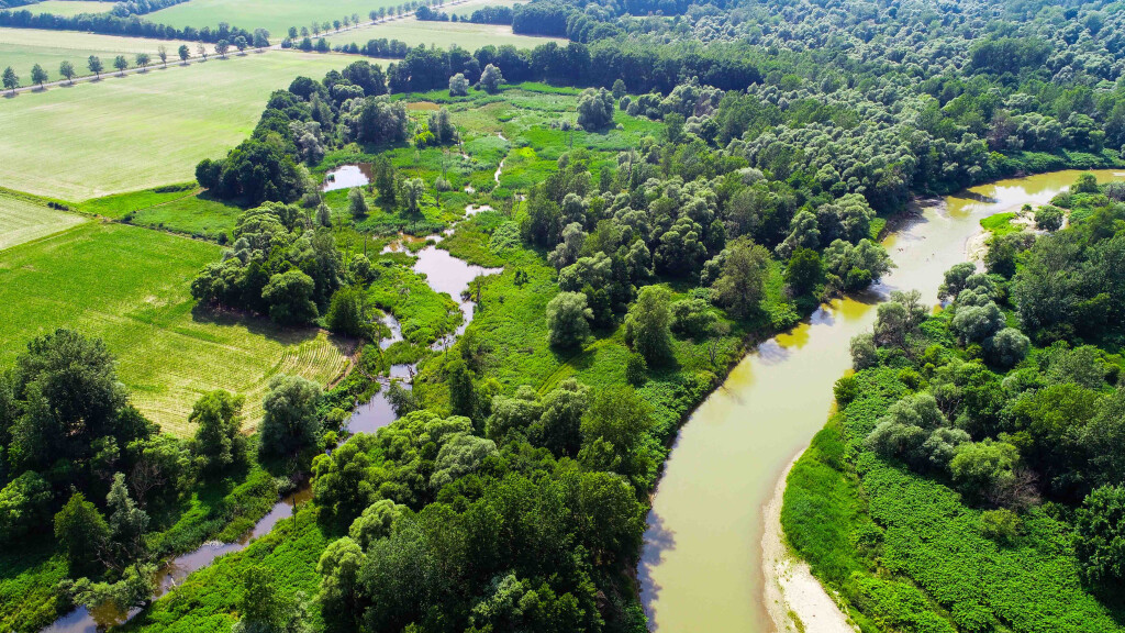 Rabivere Raba DANUBElifelines – Reviving an oxbow on the Rába River