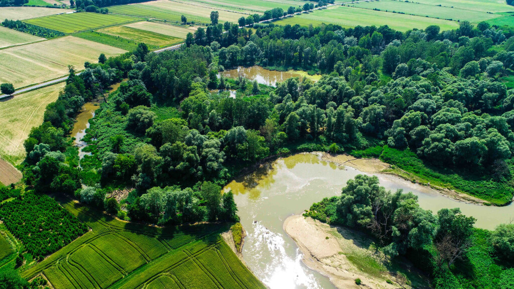 DANUBElifelines – Reviving an oxbow on the Rába River