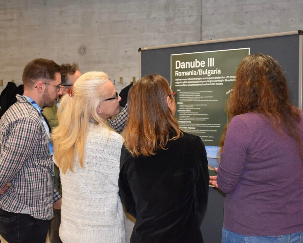 Five people viewed from behind, engaged in conversation while looking at a poster.