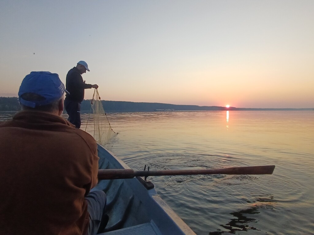 Researchers conducting fish monitoring with a net from a boat on the Danube at sunset.