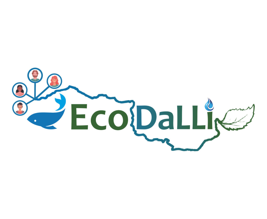 Logo EcoDalli.